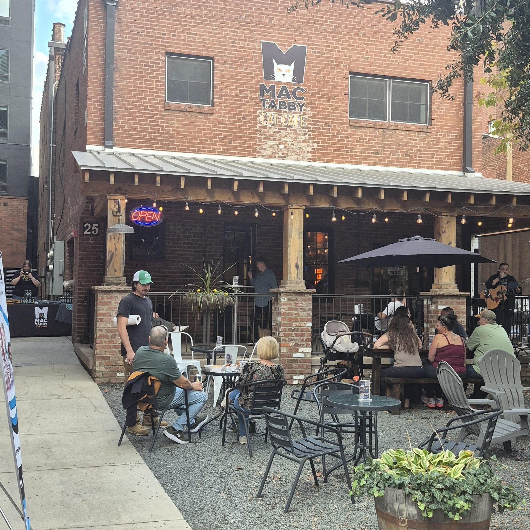 Mac Tabby Cat Cafe Market Street Concord NC