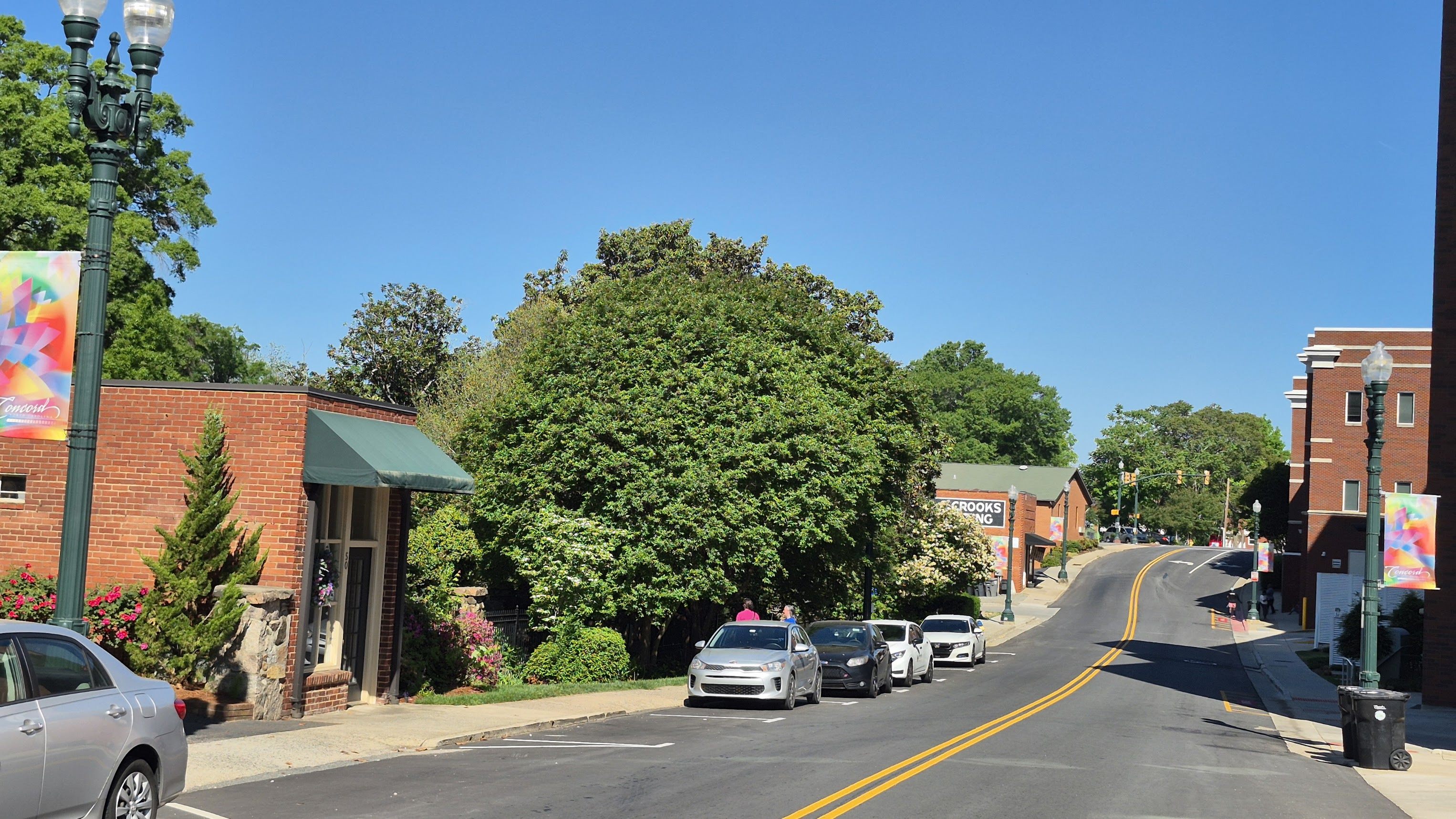 Spring Street Concord NC Dermabeauty SereniTea